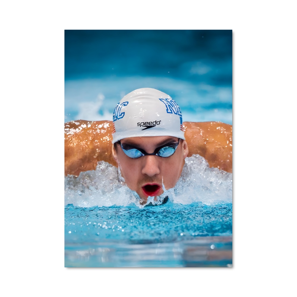 Poster L'Étoile des Eaux